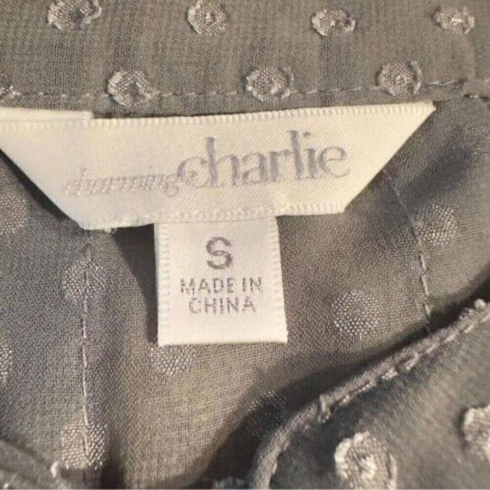 4/$35 Charming Charlie Shear Gray Blouse sz S - Picture 5 of 5